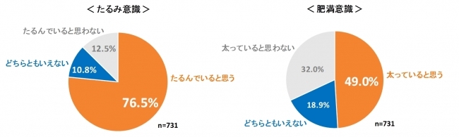 【ダイエットに関する意識調査】20～50代女性の約80%が「たるみ」を意識 大人女子の体型キープのポイントは『たんぱく質の補給』にあった！約65%が朝食時にたんぱく質を十分に摂取出来ていない事が判明