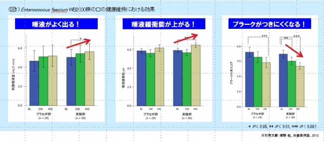 オーラルヘルスに生きた乳酸菌が効果的！福岡歯科大学で乳酸菌に関する疫学調査を実施