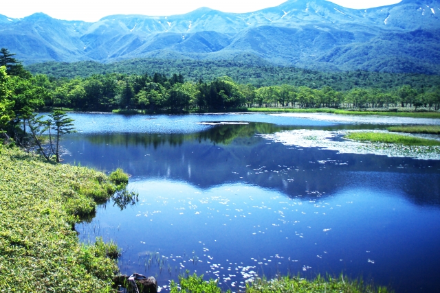 行ってみたい日本の世界遺産ランキング1位は屋久島　株式会社ＣＭサイト