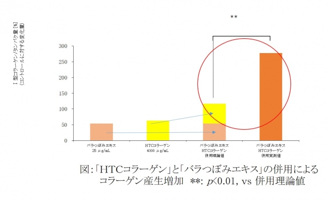 ファンケル「ＨＴＣコラーゲン」と「バラつぼみエキス」の組み合わせでコラーゲン産生促進に関する特許を取得